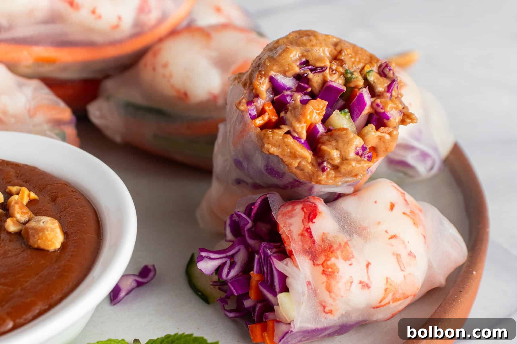 Close-up of fresh spring rolls filled with colorful vegetables like red cabbage and cucumbers, alongside a bowl of peanut dipping sauce. The rolls are semi-transparent, showcasing the vibrant ingredients inside, all on a ceramic plate.