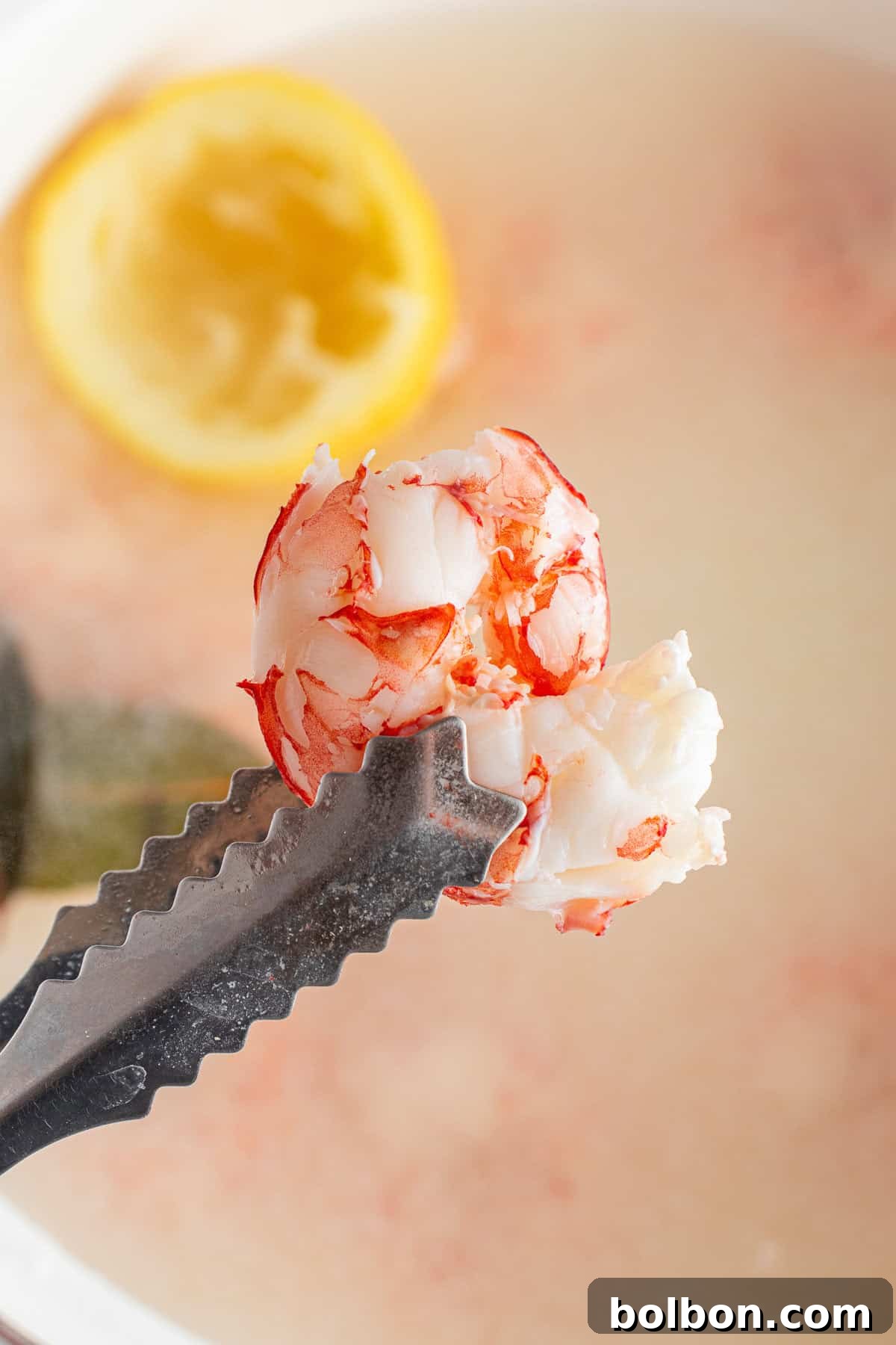 A close-up of a metal tong holding a piece of cooked lobster meat over a pot of boiling water. A half lemon is visible in the background. The lobster meat is white and red, showing its texture and freshness.