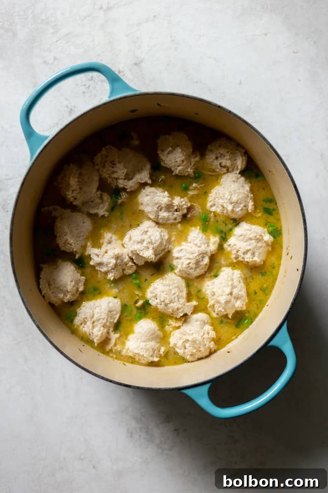 A rustic blue Dutch oven brimming with hearty chicken and dumpling stew, with uncooked dumpling dough dropped in, ready to steam to fluffy perfection.