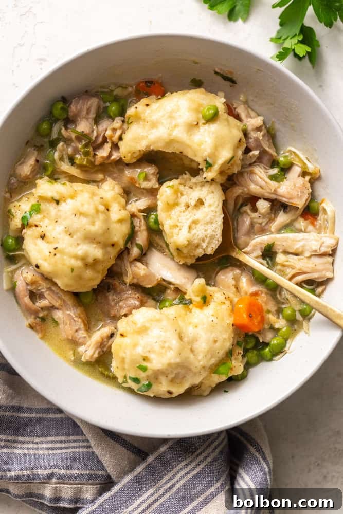 A close-up shot of a single serving of homemade chicken and dumplings in a bowl, showcasing the creamy stew and a fluffy dumpling, garnished with fresh parsley.