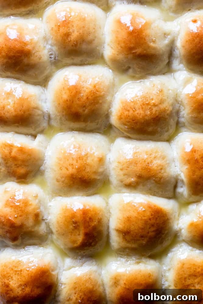 Effortless Dinner Rolls 2 Close up of soft and fluffy dinner rolls after being baked and brushed with butter.