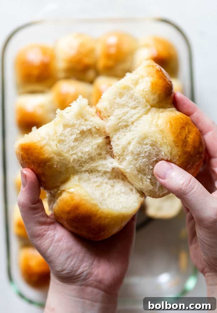 Effortless Dinner Rolls 10 Soft and Fluffy Dinner Rolls being pulled apart.