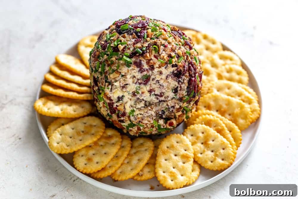 Festive Cranberry Pecan Cheese Ball elegantly presented on a plate with an assortment of gourmet crackers, ready for holiday celebrations.