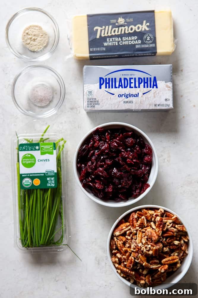 Essential ingredients for a delicious Cranberry Pecan Cheese Ball laid out: softened cream cheese, shredded sharp white cheddar, vibrant dried cranberries, toasted chopped pecans, fresh chives, a sprinkle of sea salt, and aromatic garlic powder.