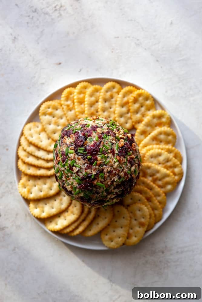 A beautifully garnished Cranberry Pecan Cheese Ball on a serving plate, surrounded by an array of crunchy crackers, ready for guests.