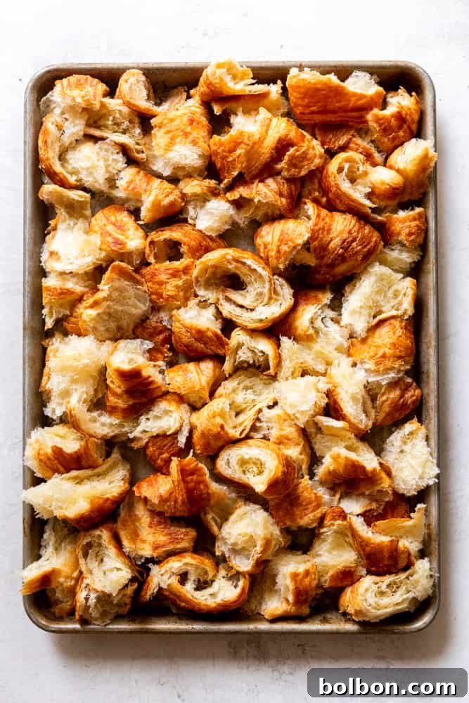 Fresh croissants arranged on a baking sheet, ready for toasting.