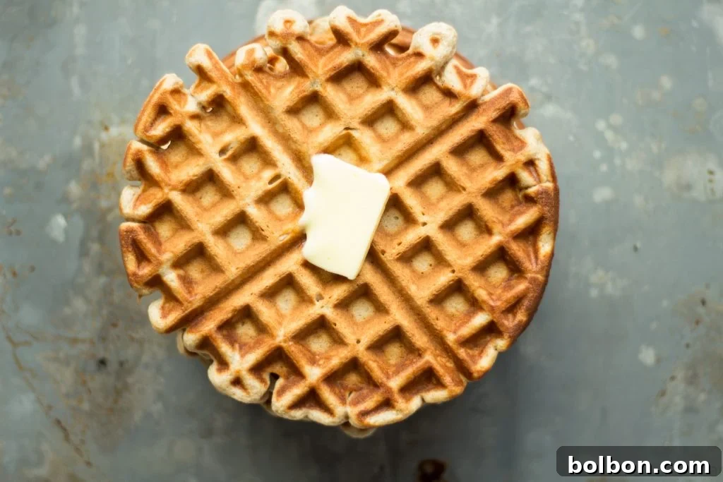 Cider-Kissed Waffles 10 These apple cider waffles are sweet, and tangy with a hint of spice, perfect for fall mornings.