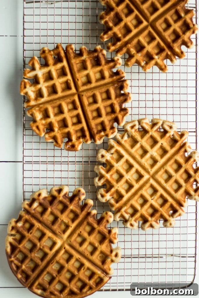 These apple cider waffles are sweet, and tangy with a hint of spice, perfect for fall mornings.