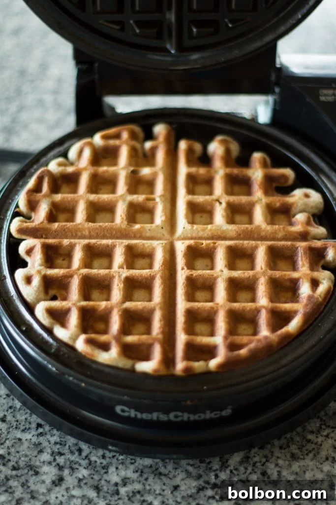 Cider-Kissed Waffles 6 These apple cider waffles are sweet, and tangy with a hint of spice, perfect for fall mornings.