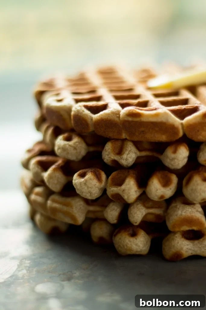 Cider-Kissed Waffles 7 These apple cider waffles are sweet, and tangy with a hint of spice, perfect for fall mornings.