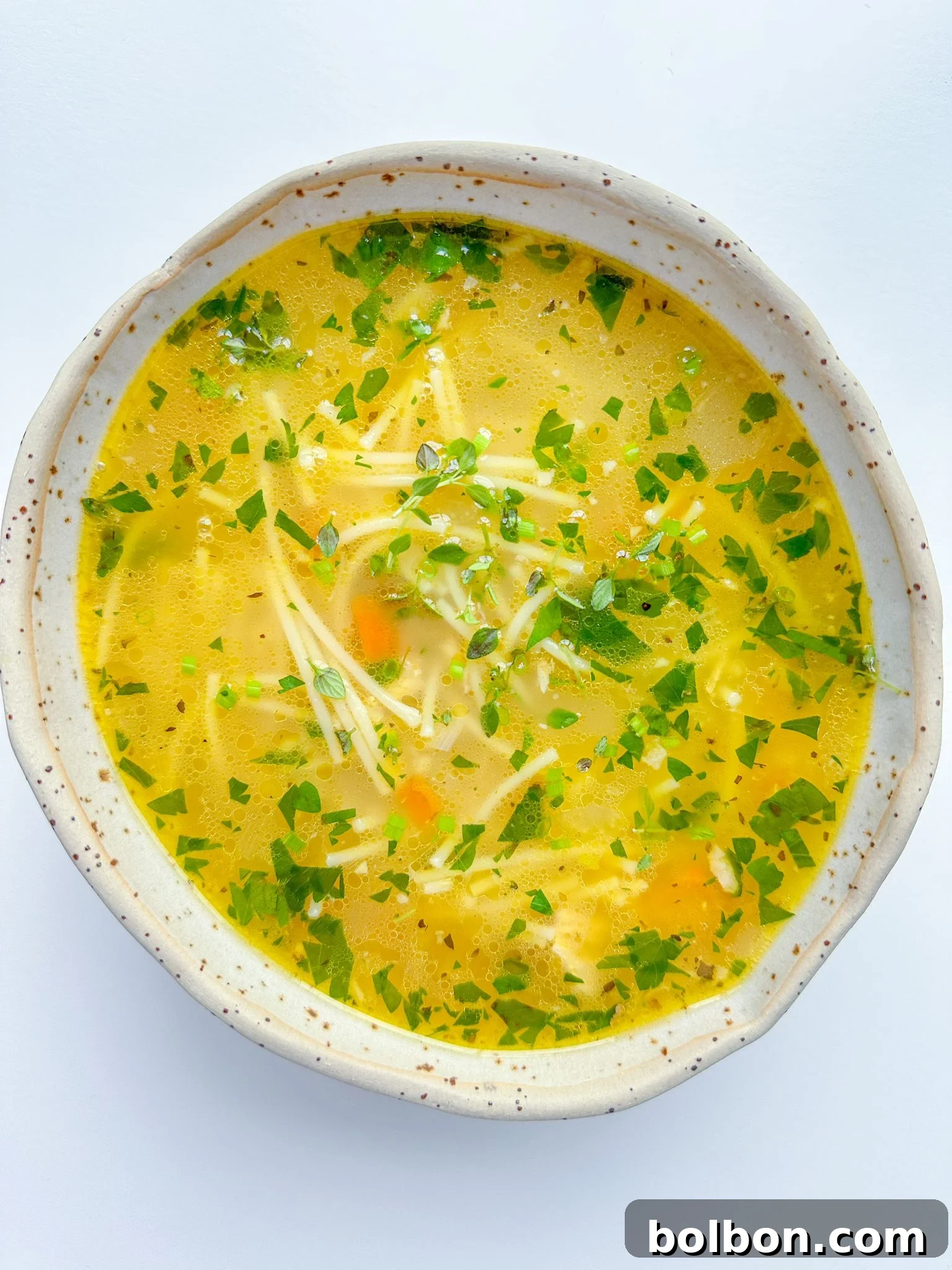 A bowl of turkey noodle soup