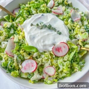 A bowl of fresh chopped salad inspired by Bulgarian Salad, with lettuce, sliced radishes, and cucumbers, topped with creamy white dressing and garnished with sprigs of fresh thyme.