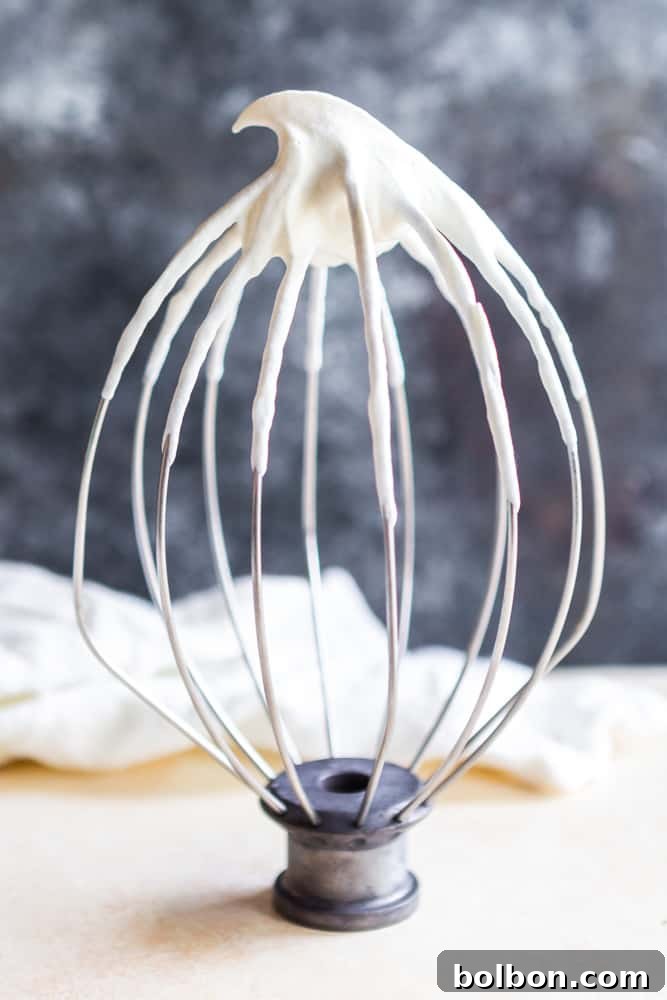 Close-up of freshly made homemade whipped cream clinging to a stand mixer whisk attachment, showing its soft peaks and creamy texture.