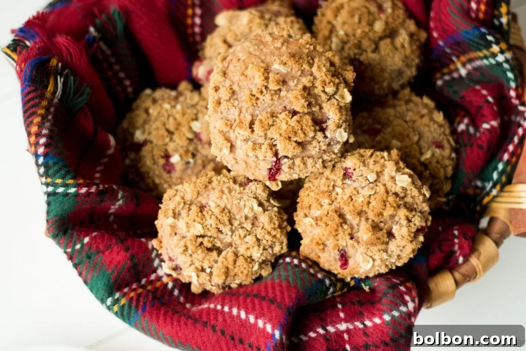 A beautifully baked cranberry sauce muffin with streusel topping, showcasing its golden-brown crust and moist interior.