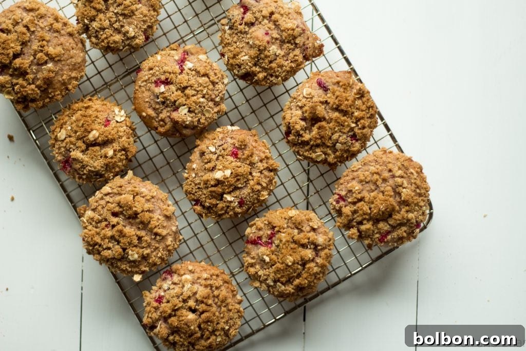 A close-up of a cranberry orange muffin, featuring its vibrant cranberry specks and golden-brown streusel.