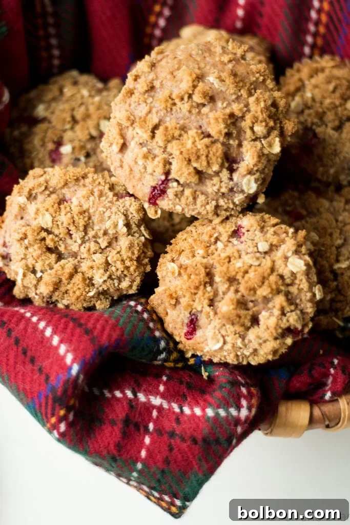 An inviting overhead shot of delicious cranberry orange streusel muffins on a white plate, ready for serving.