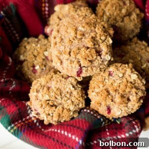 A delicious cranberry muffin with a rich, moist interior and golden-brown streusel topping.