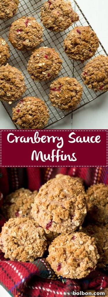 Close-up of freshly baked cranberry muffins on a cooling rack, highlighting their moist texture and golden tops.