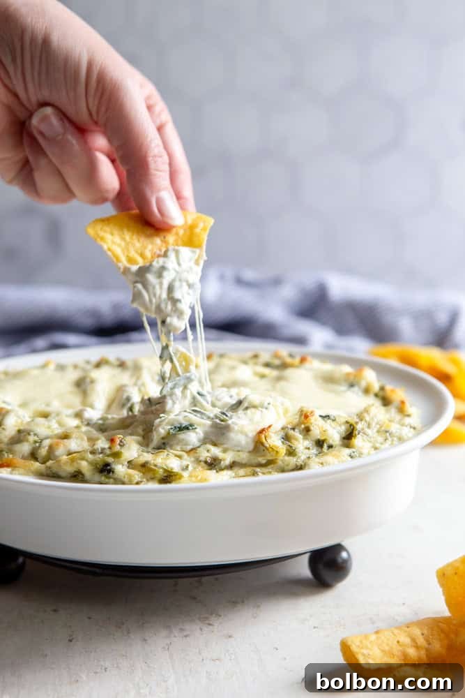 Warm, bubbly Easy Baked Spinach Artichoke Dip with a tortilla chip dipped in, showcasing its creamy texture.