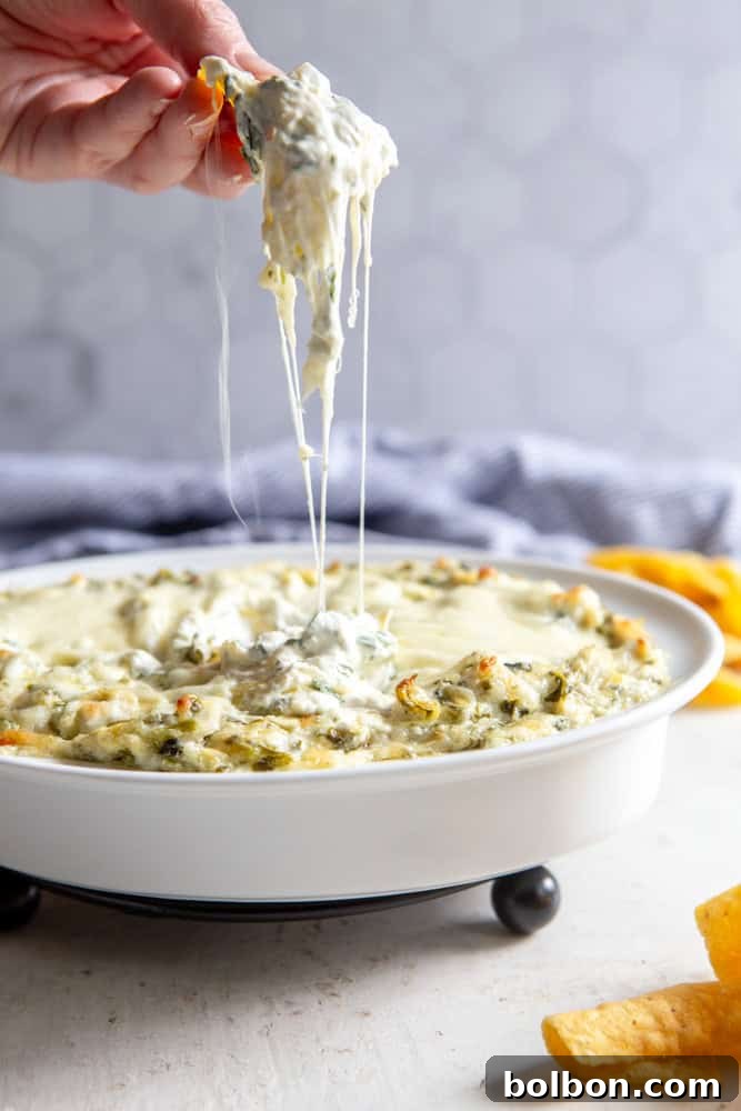 A tortilla chip being dipped into a hot, baked spinach artichoke dip, showing the melted cheese pull.