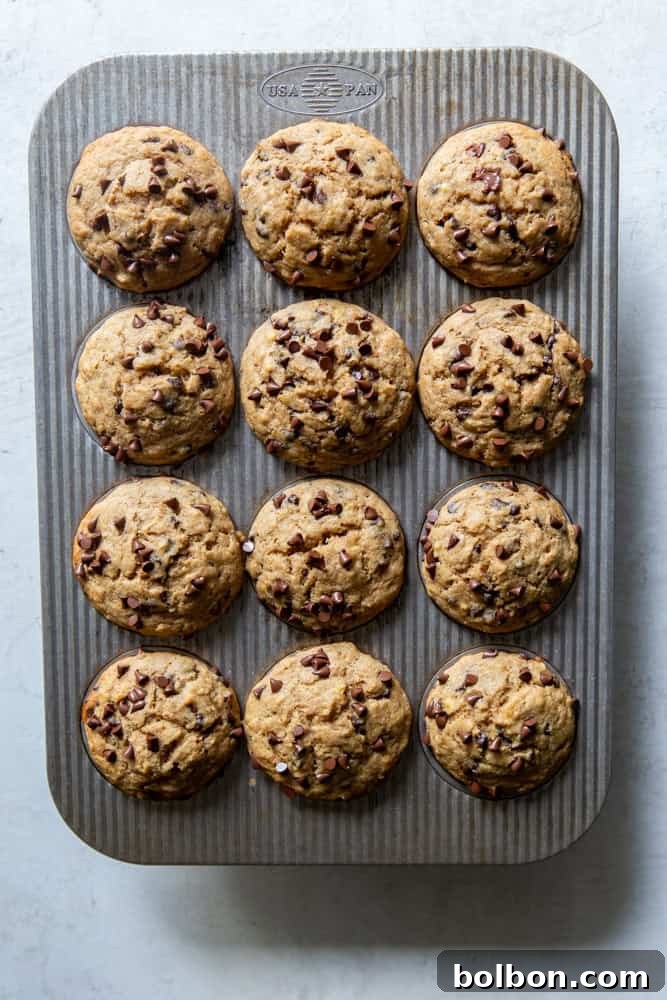 Wholesome Sourdough Banana Muffins 5 Freshly baked sourdough banana muffins in a muffin tin, golden brown and perfectly risen