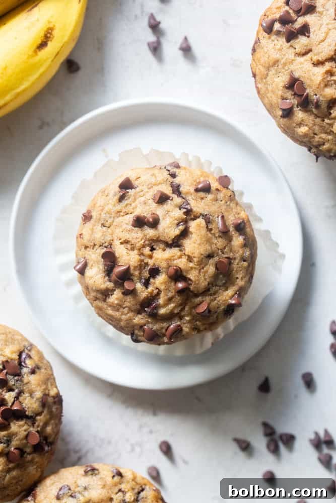 Wholesome Sourdough Banana Muffins 6 A single chocolate chip banana sourdough muffin on a white plate, showing its crumb and moist interior