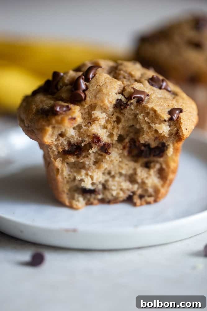 Wholesome Sourdough Banana Muffins 7 A close-up shot of sourdough banana muffins with chocolate chips, showcasing their golden tops and delicious texture
