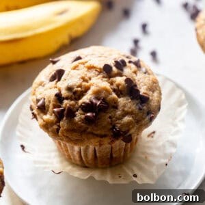 Wholesome Sourdough Banana Muffins 8 Final plated sourdough banana muffin