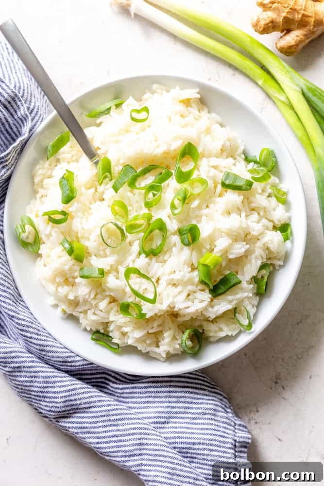 A vibrant bowl of ginger scallion rice, ready to be served as a flavorful side dish.