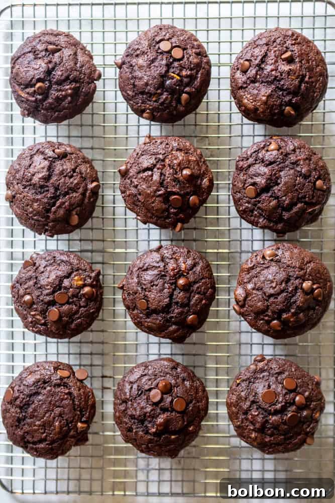 A freshly baked batch of 12 healthy double chocolate zucchini muffins, perfectly domed and ready to enjoy.
