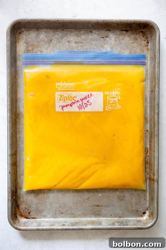 Several ziplock bags filled with pumpkin puree, flattened and stacked, ready for freezing.