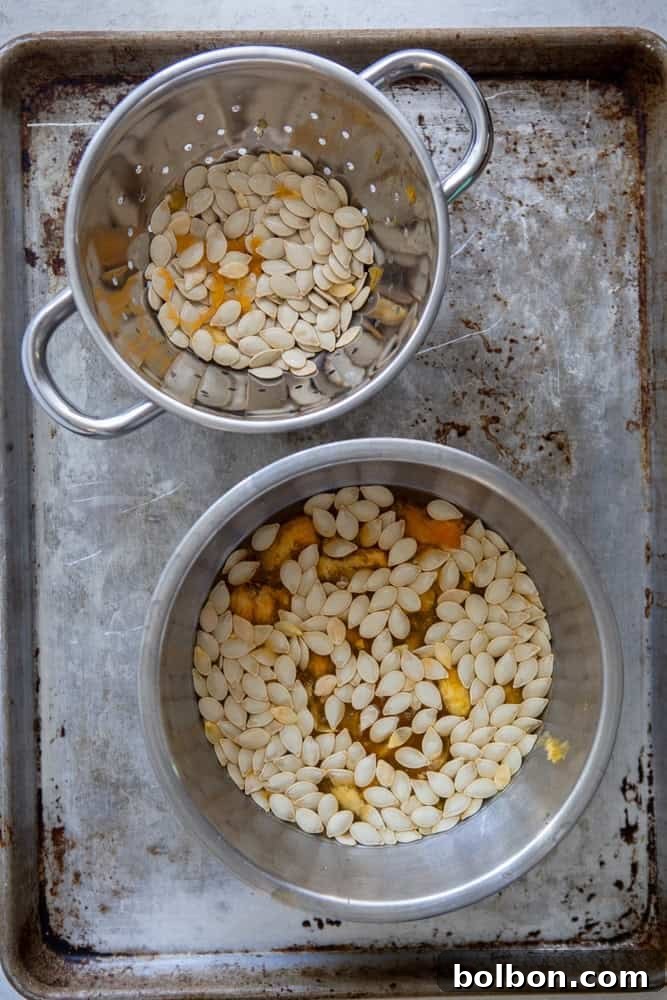 Crispy Roasted Pumpkin Seeds 4 Raw pumpkin seeds being cleaned under running water, showing the process of separating them from pulp.