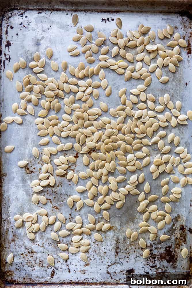 Crispy Roasted Pumpkin Seeds 6 Pumpkin seeds evenly spread on a baking sheet, lightly oiled and seasoned, ready for roasting.
