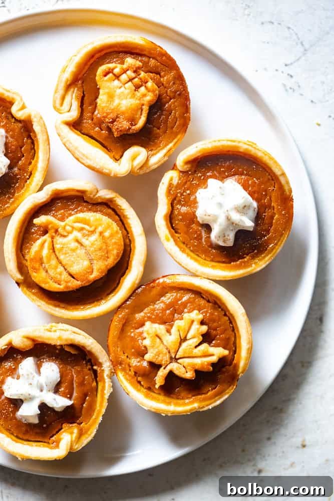 Petite Pumpkin Tarts 2 Mini pumpkin pies on a white plate, topped with whipped cream and decorative pie crust cookies. A perfect fall dessert.