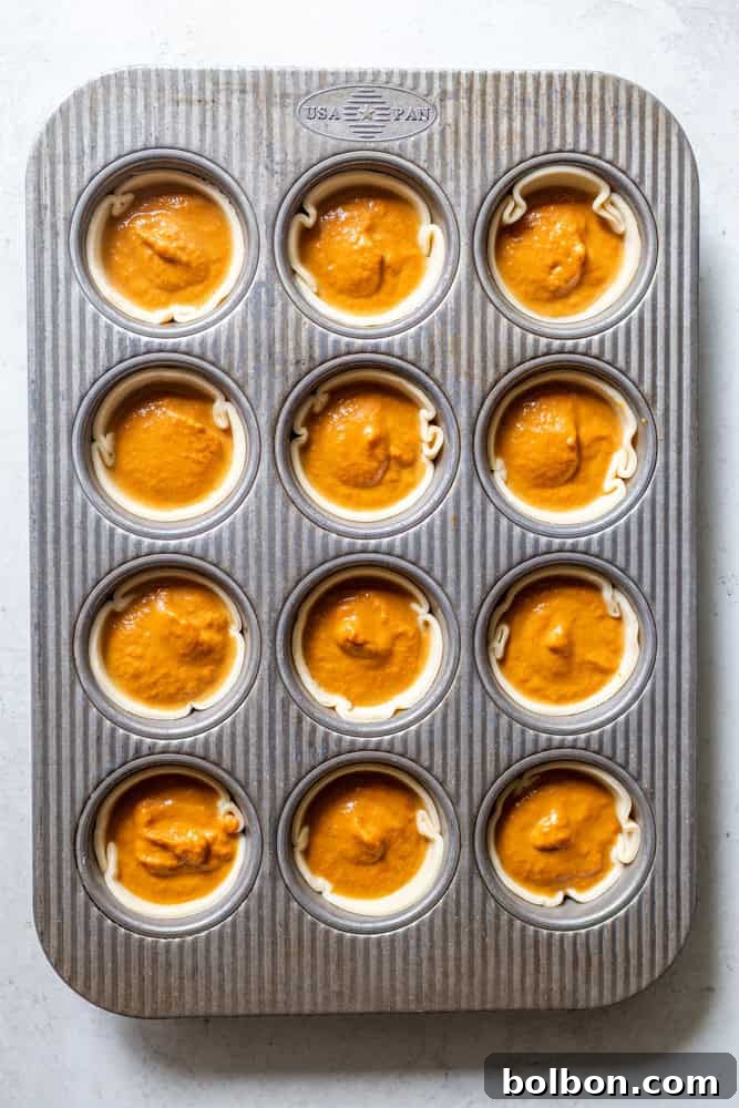 Petite Pumpkin Tarts 5 Mini Pumpkin pies in a 12 cup muffin tin, ready to be baked.
