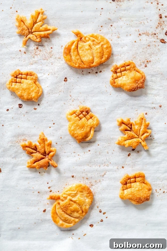 Petite Pumpkin Tarts 6 Pie crust cutouts in various fall shapes for decorating pies, sprinkled with cinnamon sugar.