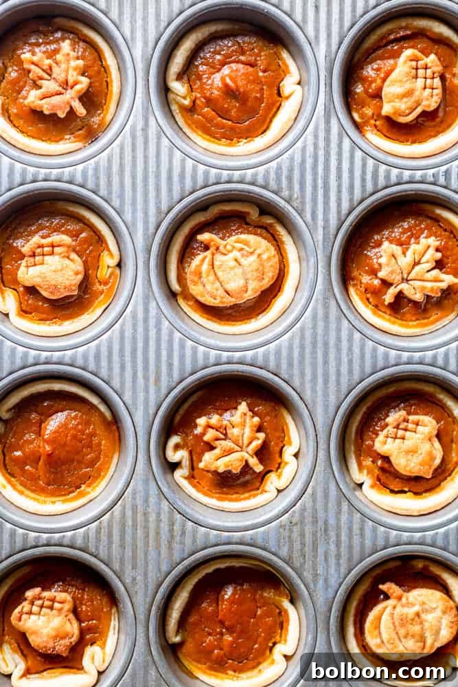 Petite Pumpkin Tarts 7 Several mini pumpkin pies arranged neatly in a muffin tin.