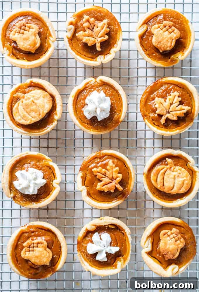 Petite Pumpkin Tarts 8 12 mini pumpkin pies resting on a cooling rack after baking.