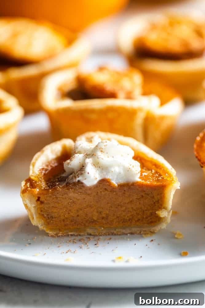 Petite Pumpkin Tarts 9 A mini pumpkin pie cut in half on a white plate, showing the creamy filling and flaky crust.