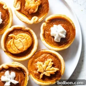 Petite Pumpkin Tarts 10 Finished mini pumpkin pies topped with whipped cream and decorative crust cutouts.