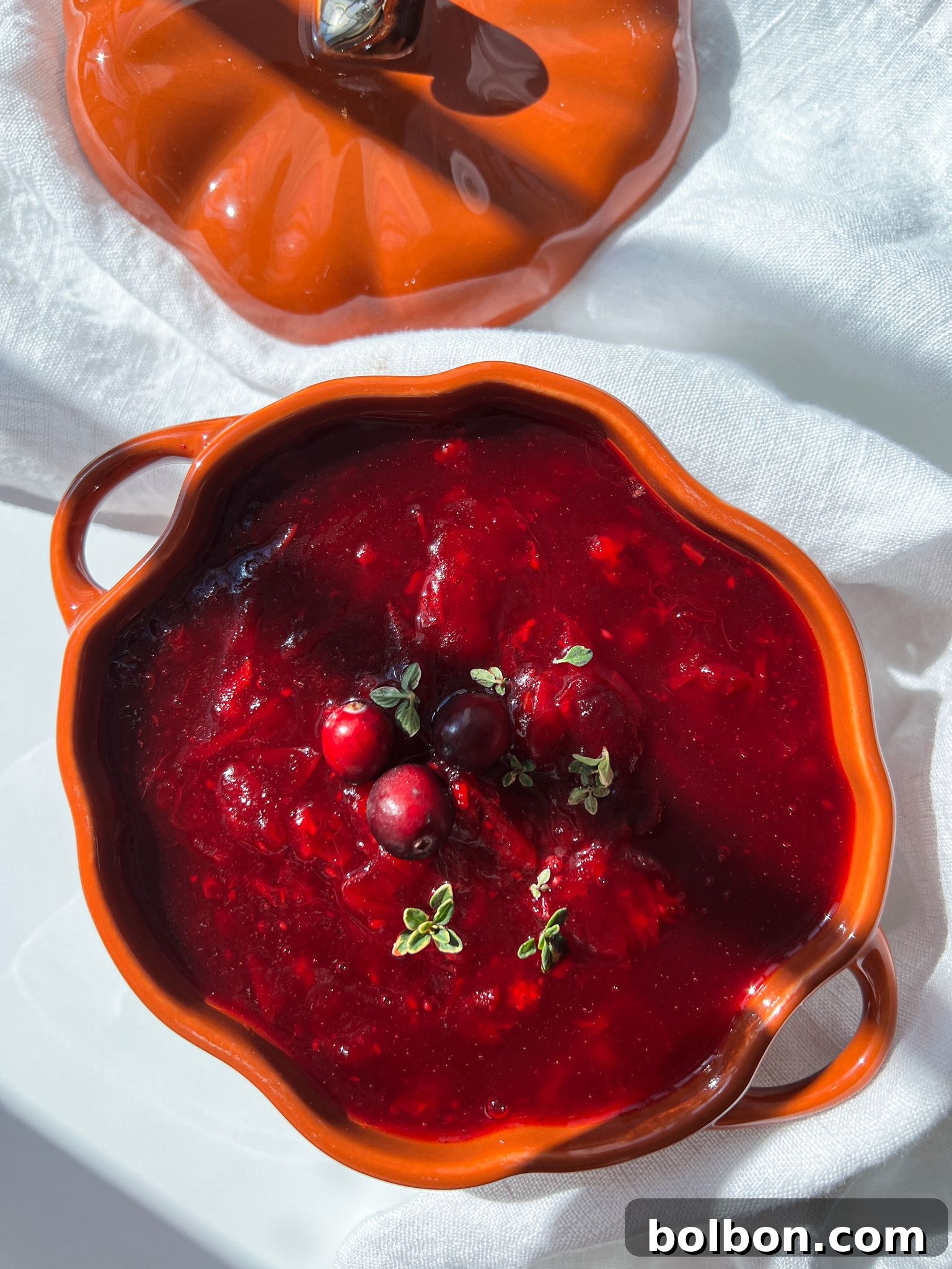 Vibrant Homemade Cranberry Sauce 2 Vibrant homemade cranberry sauce in a serving dish, garnished with fresh cranberries.