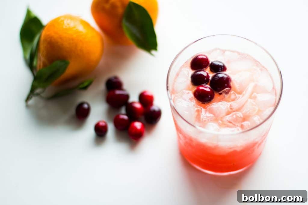A refreshing non-alcoholic Cranberry Orange Mocktail, a fun and vibrant drink made with homemade cranberry orange syrup, garnished with fresh cranberries.