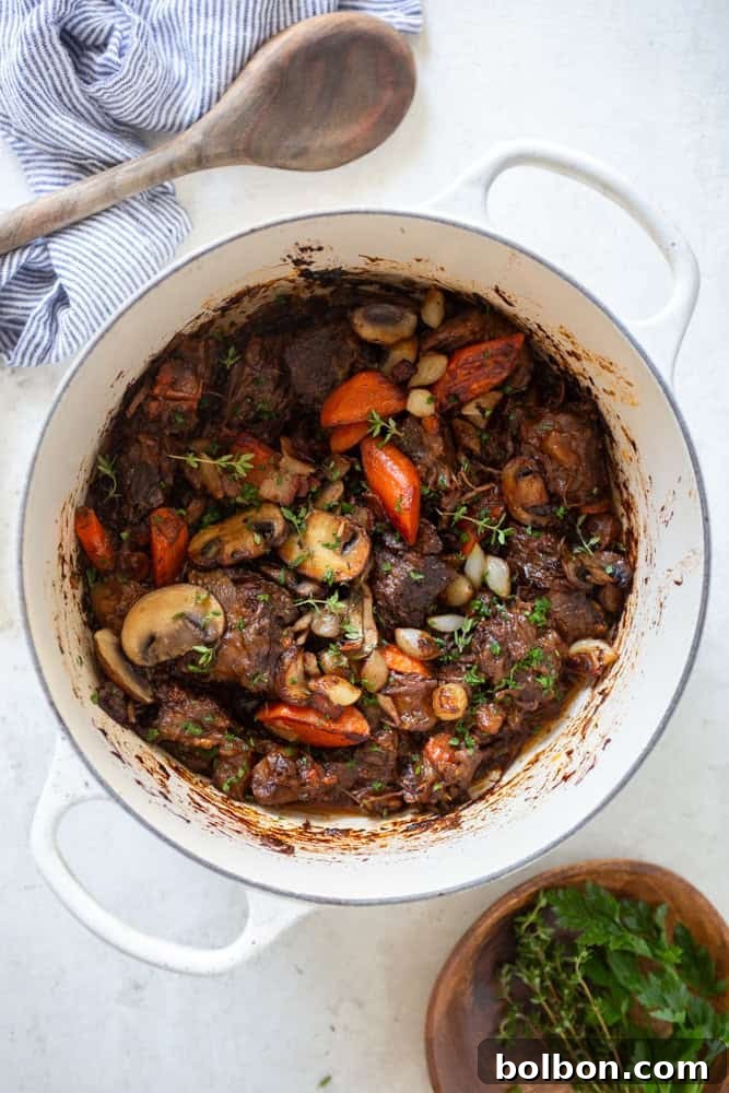Finished Red Wine Beef Stew elegantly presented in a white bowl, adorned with caramelized carrots, mushrooms, and pearl onions, and garnished with fresh herbs, ready to be served.