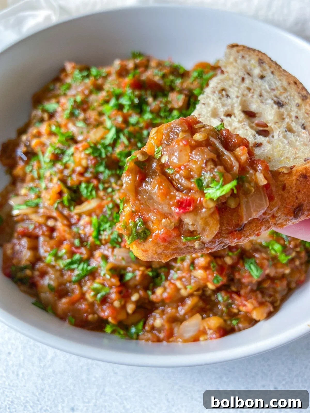 Fire-Roasted Eggplant Spread 2 A vibrant bowl of roasted eggplant dip, garnished with fresh herbs, showcasing its rich texture and appetizing appeal.