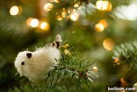 A Season of Joy for You and All Your Loved Ones