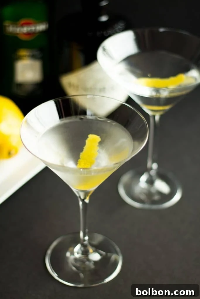 Stirring a Perfect Martini in a mixing glass