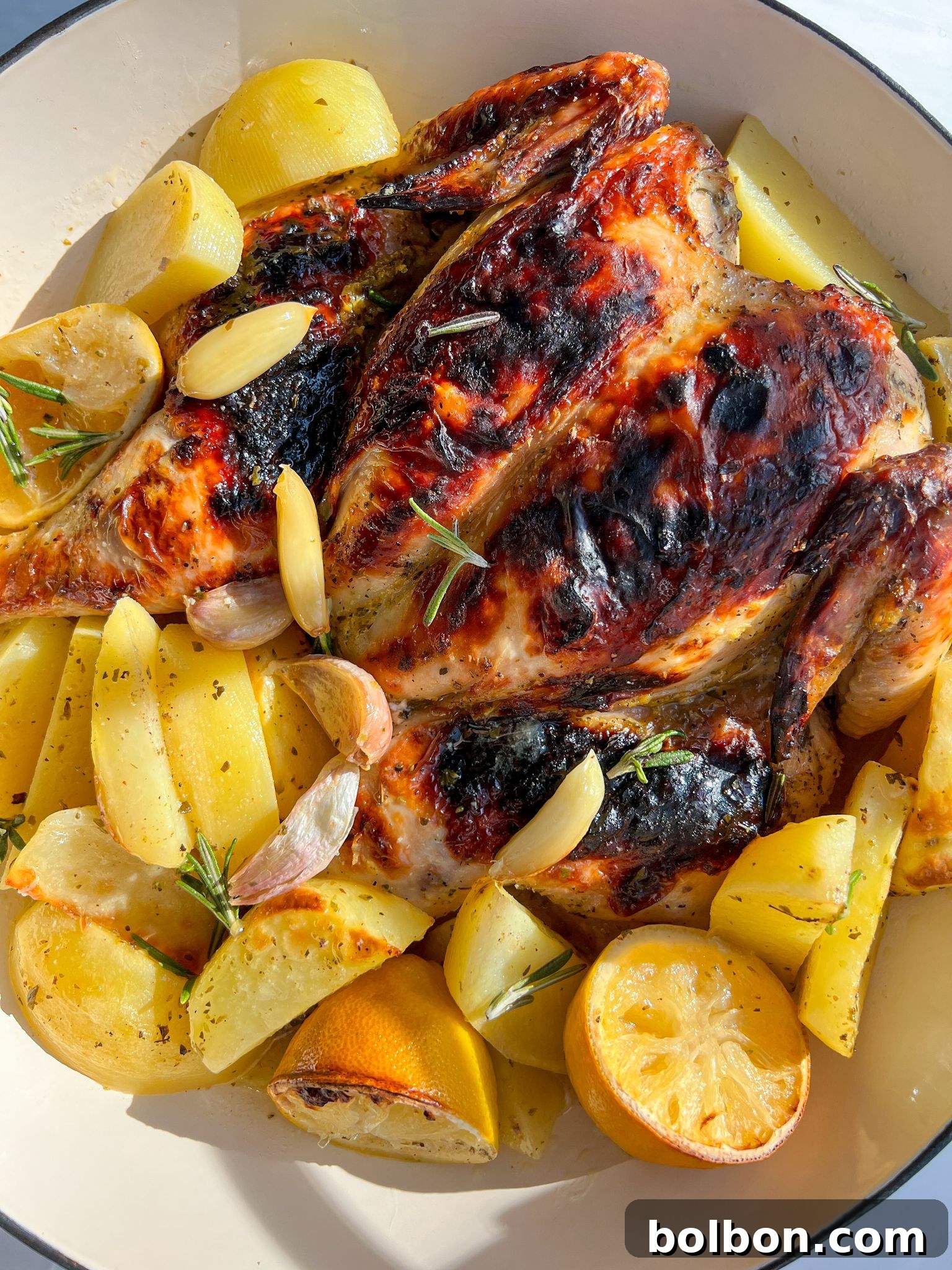 Spatchcock Chicken with Greek lemon potatoes