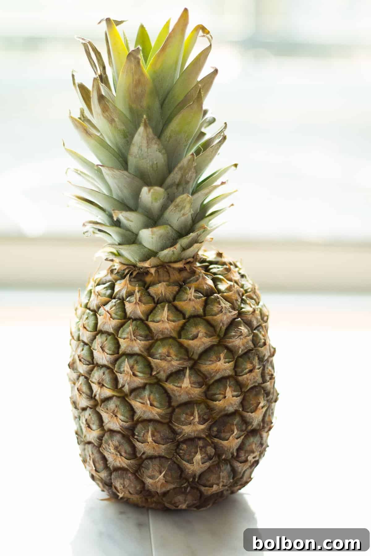 Freshly prepared pineapple mint salsa in a bowl, featuring diced pineapple, mint, and shallot.