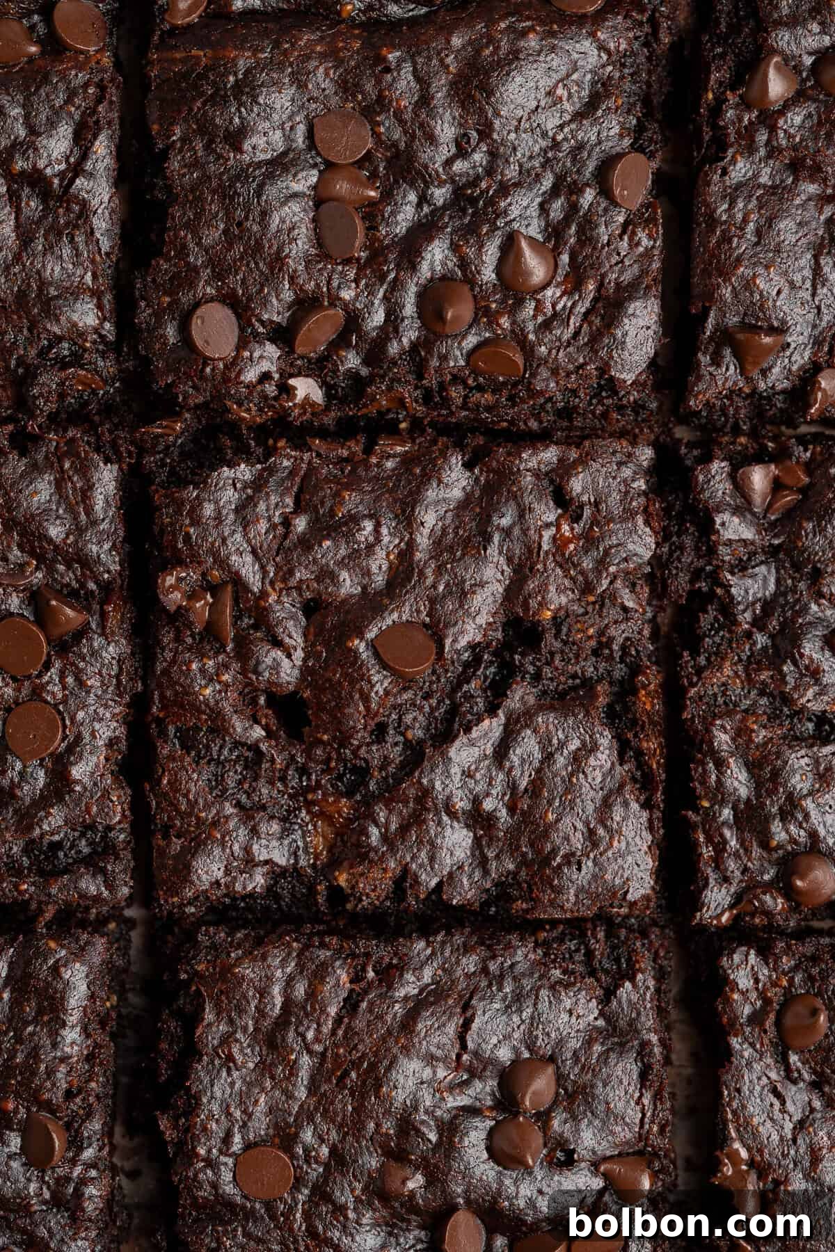 A close-up shot of a batch of rich, chocolate chip brownies. The brownies are expertly cut into perfect squares, showcasing a glossy, slightly cracked surface. Scattered chocolate chips adorn the tops, and the visible interior reveals a dense, incredibly moist, and fudgy texture, promising a delightful bite.