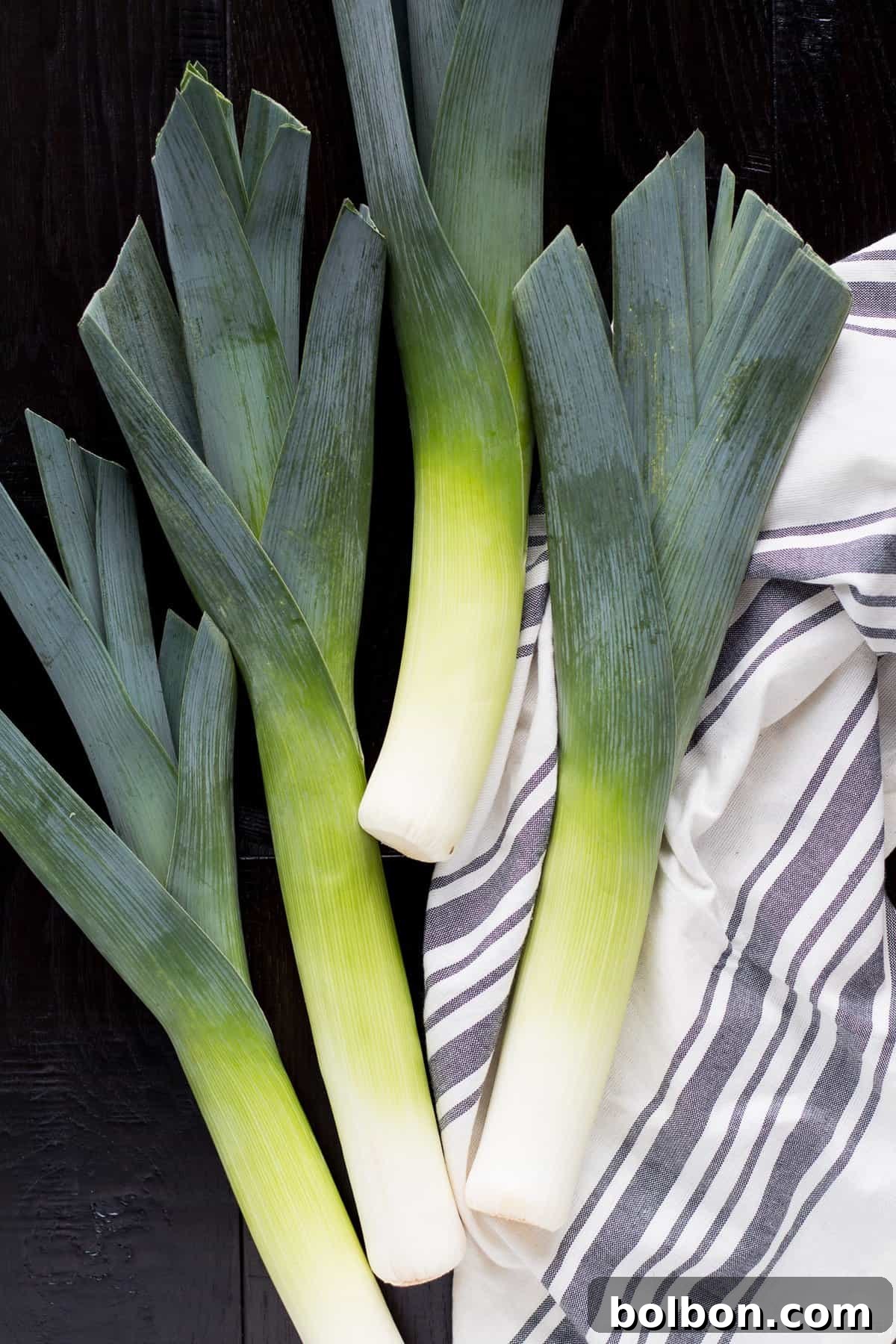 Velvety Braised Leeks 3 A top-down view of several golden-brown braised leek halves arranged neatly on a serving platter, drizzled with a flavorful sauce.